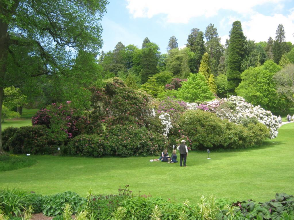 Killerton Home Gardens